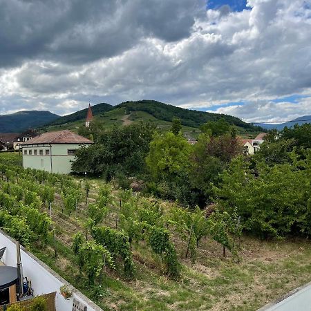 Alsacebnb - Gîte 12 personnes dans le vignoble - Piscine privée chauffée&Spa Ammerschwihr Esterno foto
