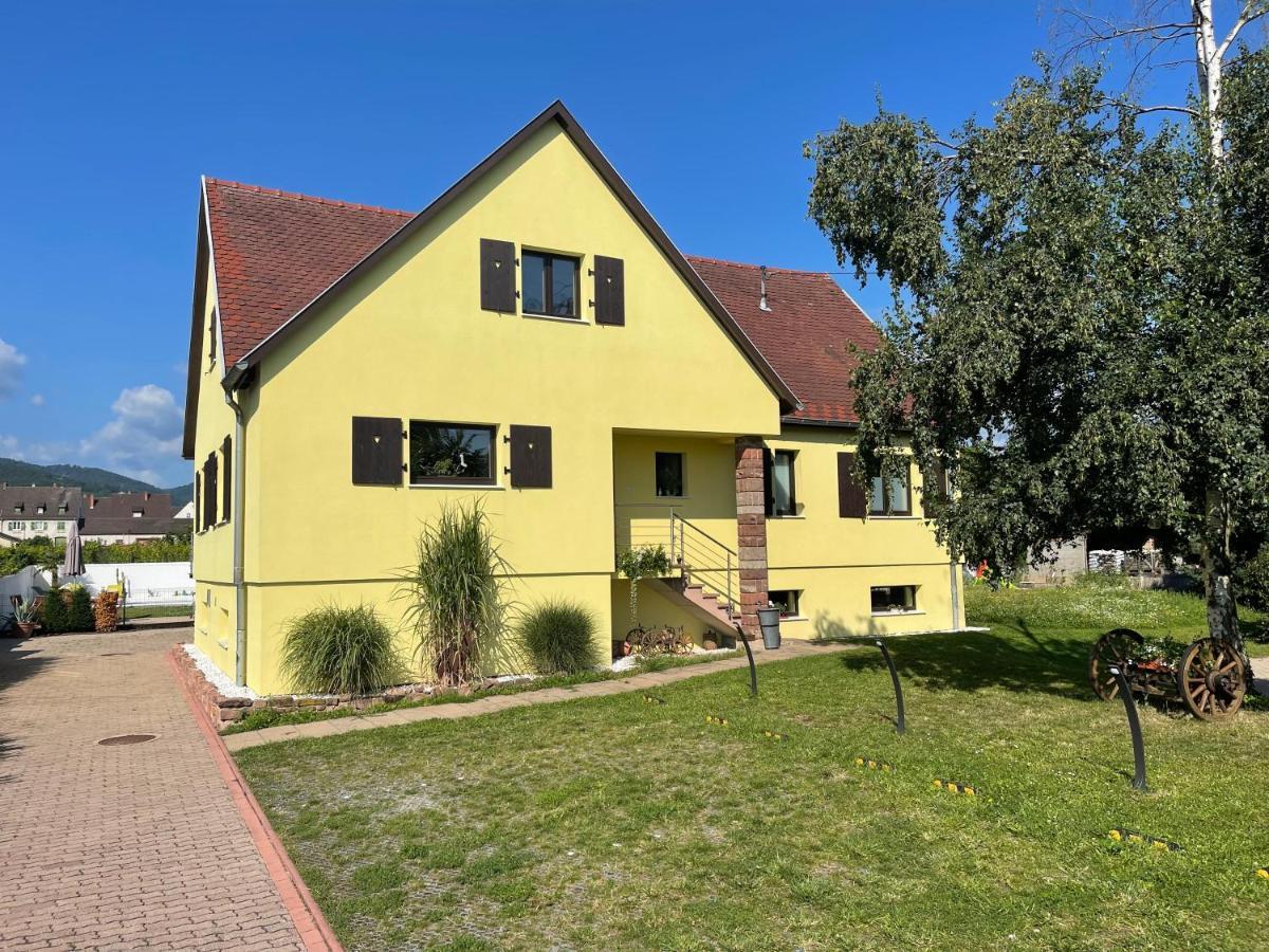 Alsacebnb - Gîte 12 personnes dans le vignoble - Piscine privée chauffée&Spa Ammerschwihr Esterno foto