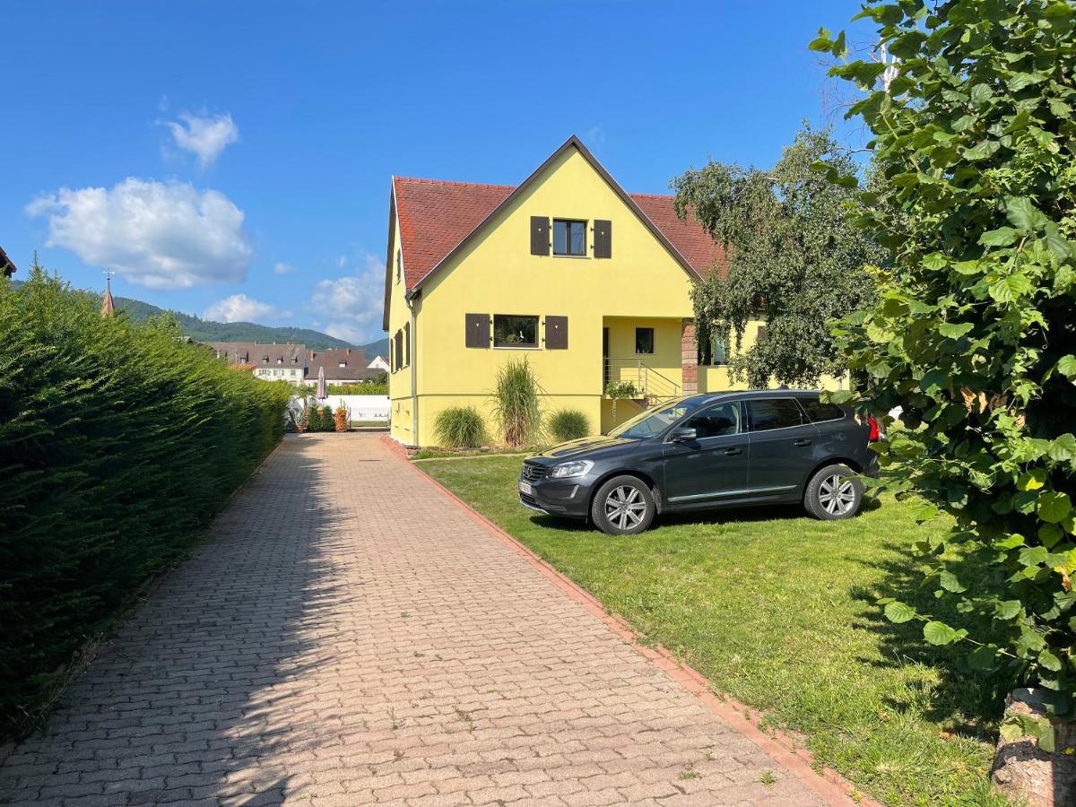 Alsacebnb - Gîte 12 personnes dans le vignoble - Piscine privée chauffée&Spa Ammerschwihr Esterno foto