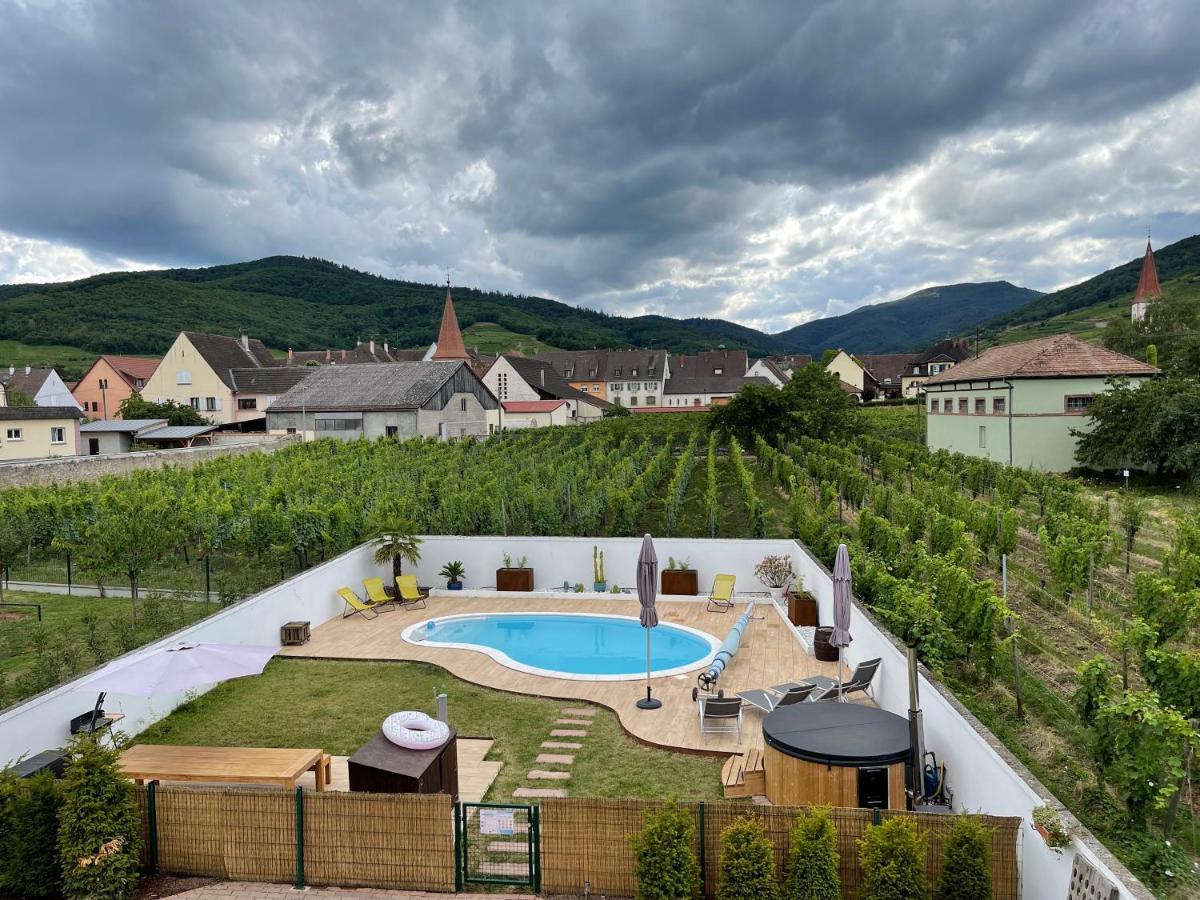 Alsacebnb - Gîte 12 personnes dans le vignoble - Piscine privée chauffée&Spa Ammerschwihr Esterno foto