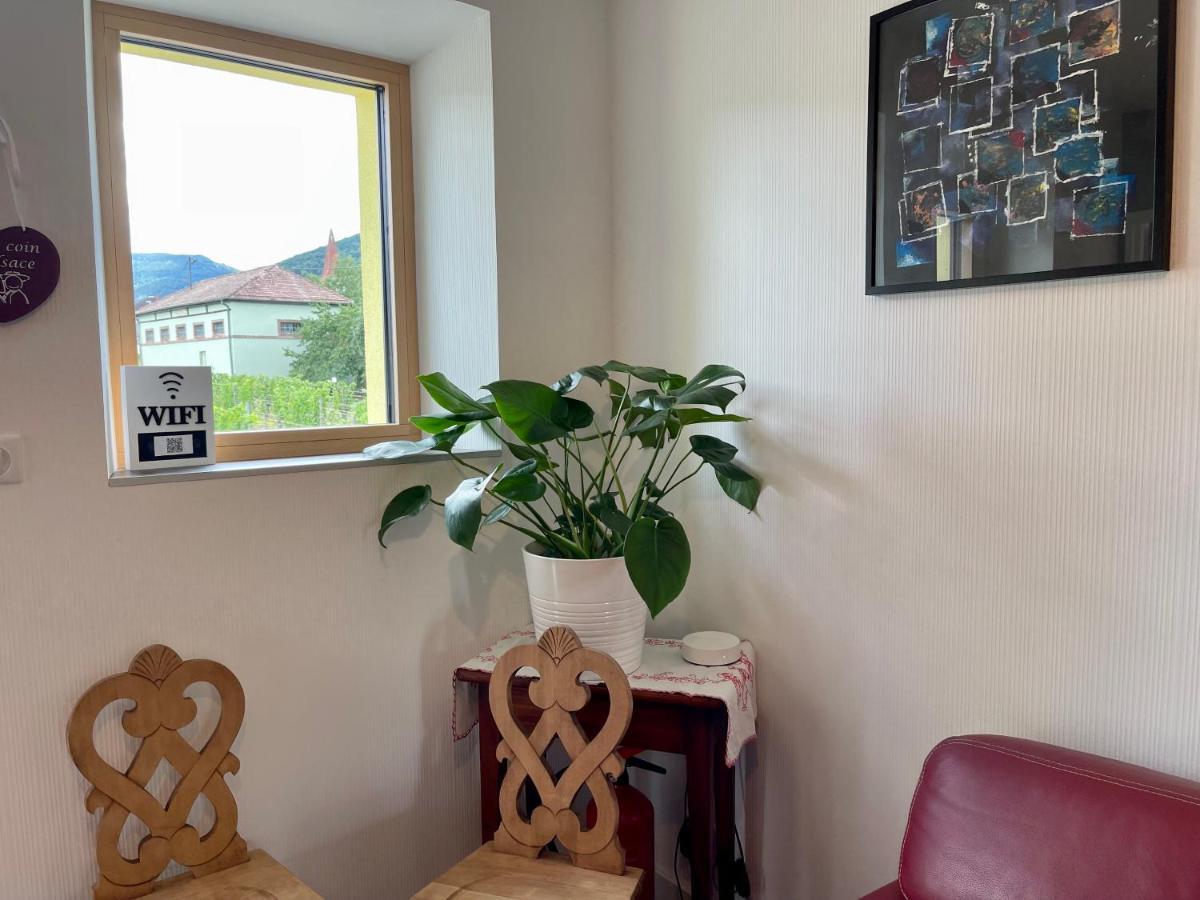 Alsacebnb - Gîte 12 personnes dans le vignoble - Piscine privée chauffée&Spa Ammerschwihr Esterno foto