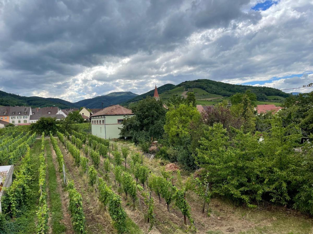 Alsacebnb - Gîte 12 personnes dans le vignoble - Piscine privée chauffée&Spa Ammerschwihr Esterno foto
