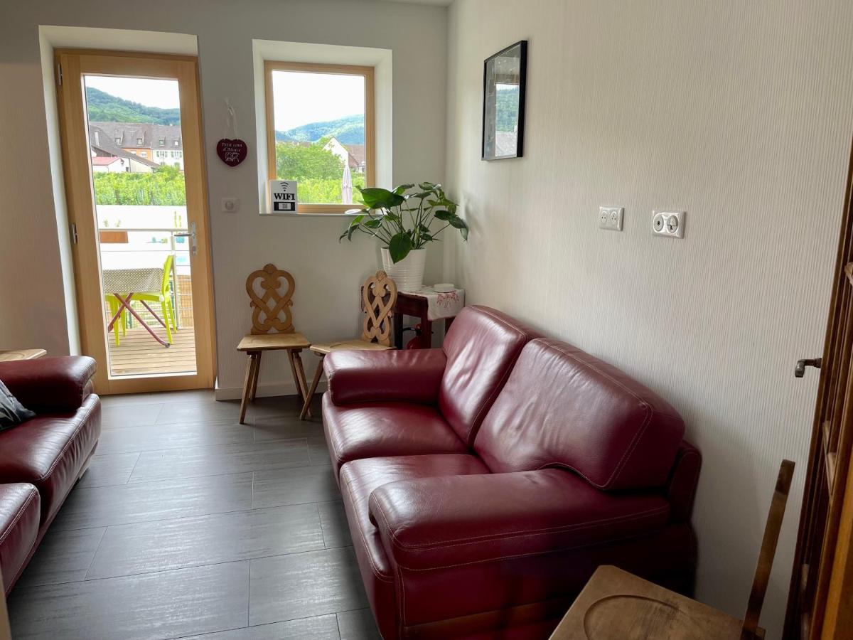 Alsacebnb - Gîte 12 personnes dans le vignoble - Piscine privée chauffée&Spa Ammerschwihr Esterno foto