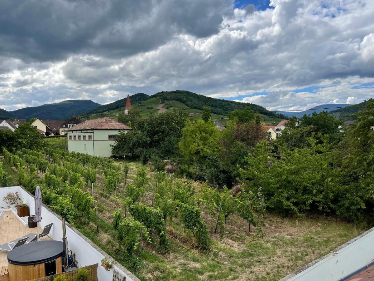 Alsacebnb - Gîte 12 personnes dans le vignoble - Piscine privée chauffée&Spa Ammerschwihr Esterno foto