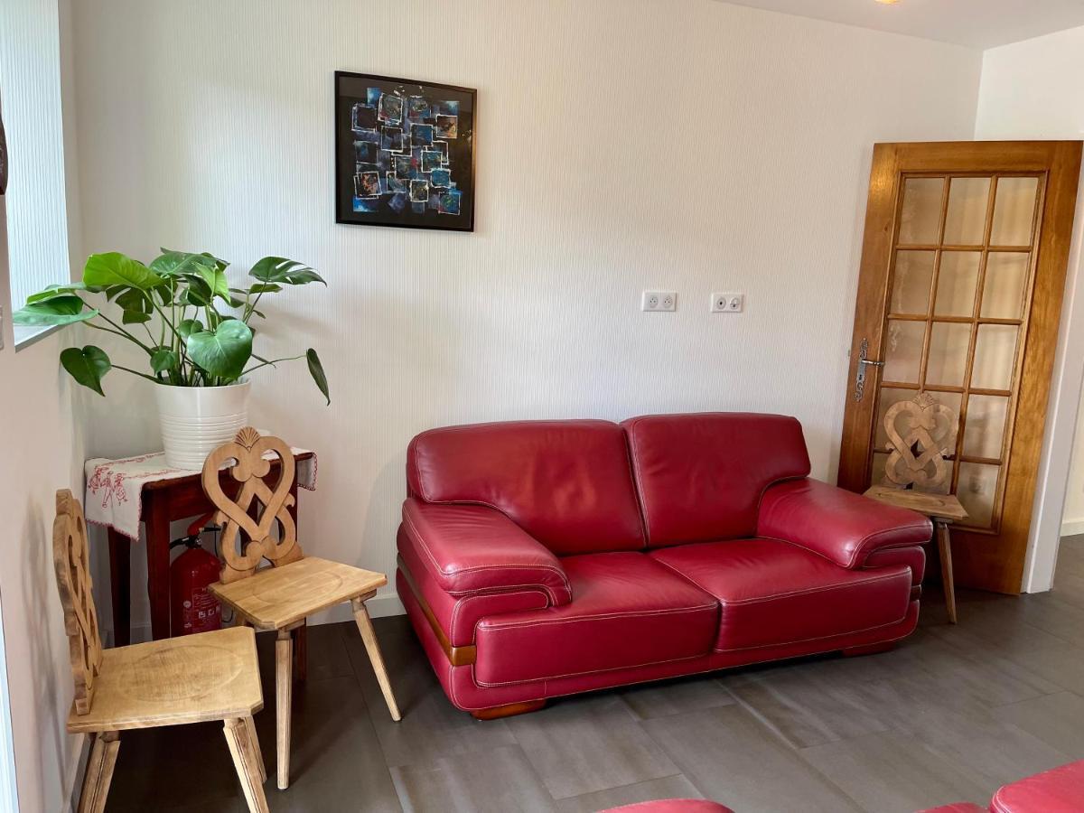 Alsacebnb - Gîte 12 personnes dans le vignoble - Piscine privée chauffée&Spa Ammerschwihr Esterno foto