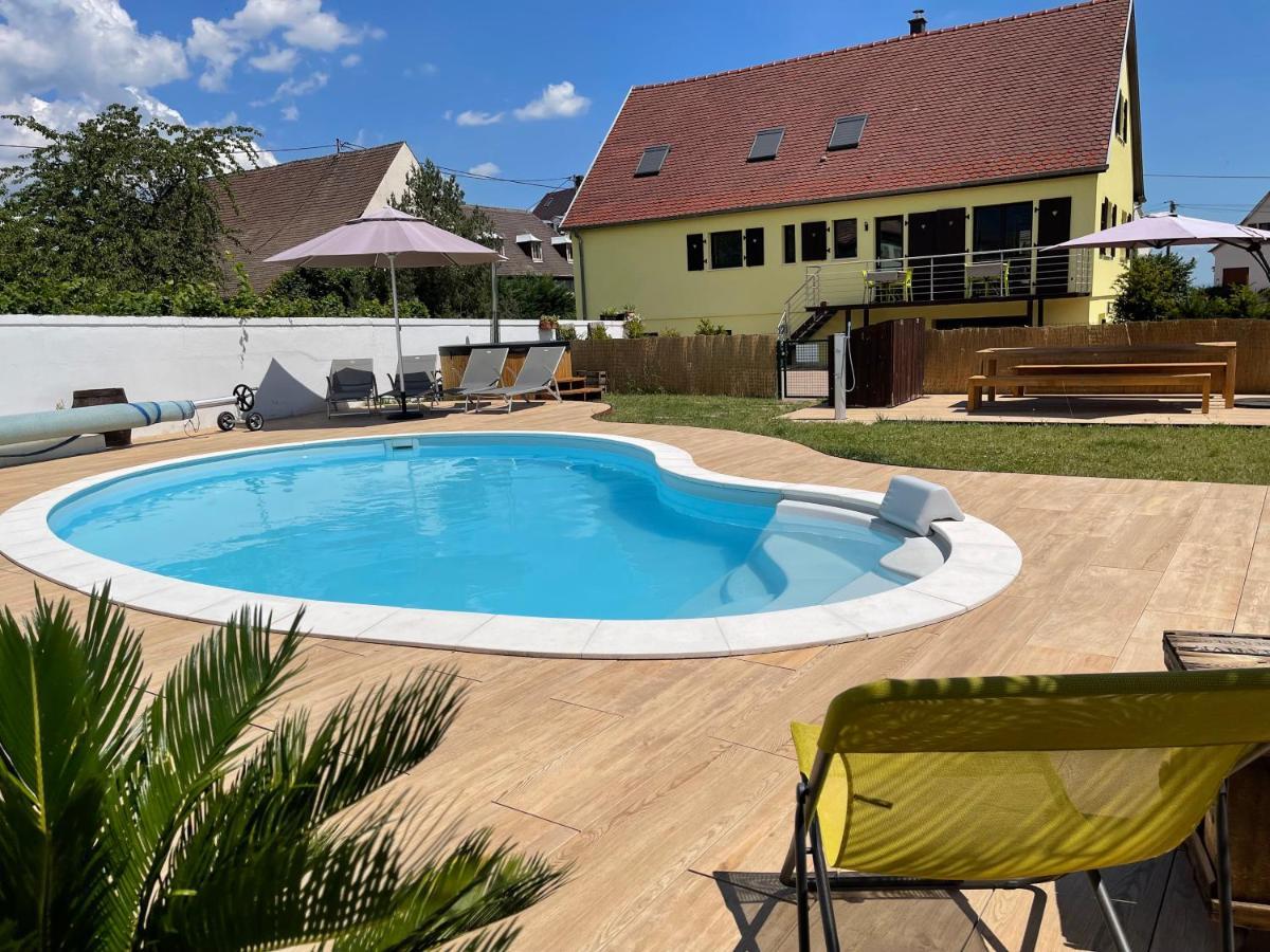 Alsacebnb - Gîte 12 personnes dans le vignoble - Piscine privée chauffée&Spa Ammerschwihr Esterno foto