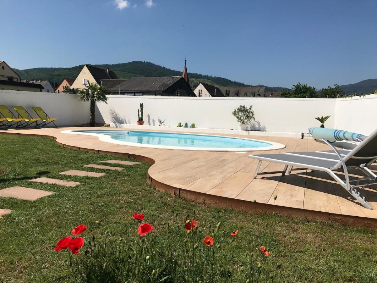 Alsacebnb - Gîte 12 personnes dans le vignoble - Piscine privée chauffée&Spa Ammerschwihr Esterno foto